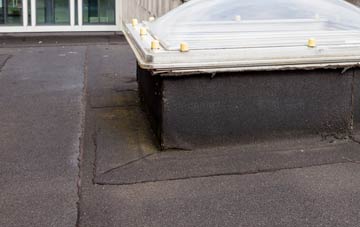 disadvantages of Muirton Of Ardblair flat roofs