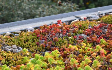 the cost of Muirton Of Ardblair green roof installation