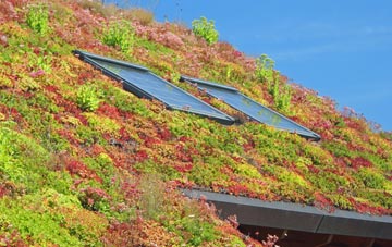 Muirton Of Ardblair living roof systems