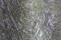 Muirton Of Ardblair fibreglass roof work